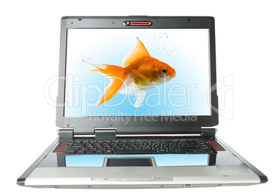 laptop