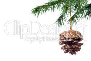 christmas tree decoration cone and fir branch