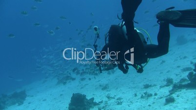 Unterwasser-Filmer im Roten Meer