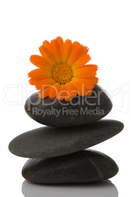 spa stone and orange flower