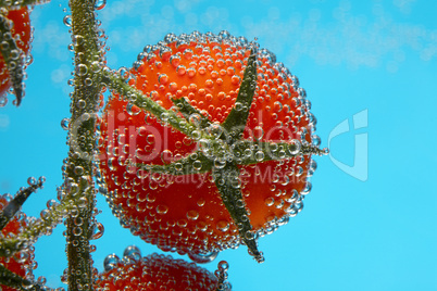 cherry tomato in bubbles