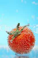 cherry tomato in bubbles