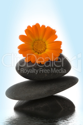spa stone and orange flower in water