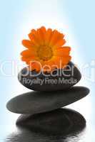 spa stone and orange flower in water