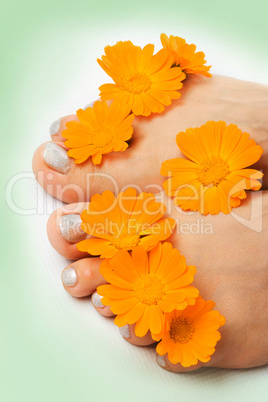 woman feet and flower