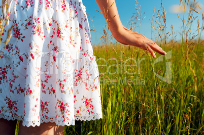 woman hand in field