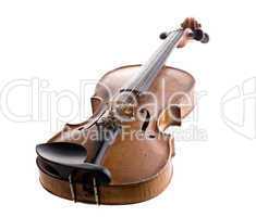 violin