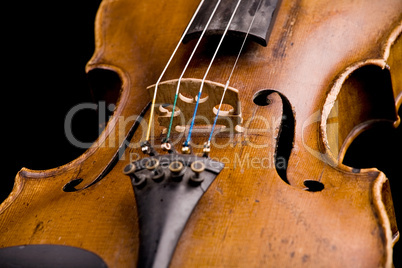 violin