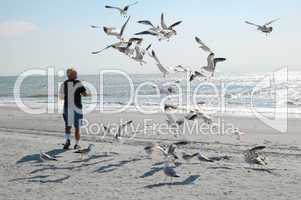 man with seagulls