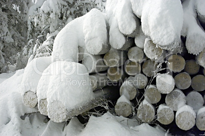 logs under snow