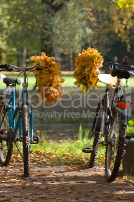 fall couple of bicycles