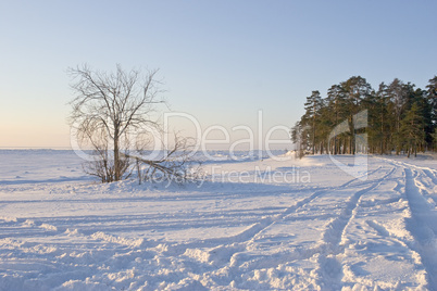 frozen sea