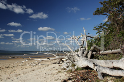 Strand von Fraser Island