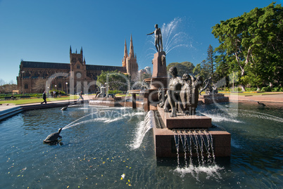 Archibald Fountain, Sydney