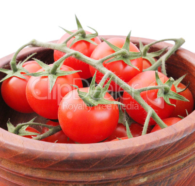 frische tomaten