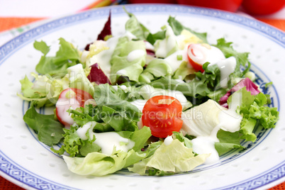 frischer salat