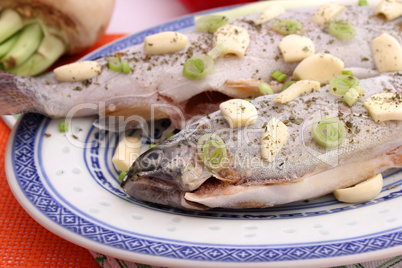 frischer fisch frischer fisch