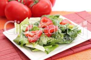 römersalat mit tomate (A.Bogdanski)