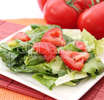 römersalat mit tomate (A.Bogdanski)