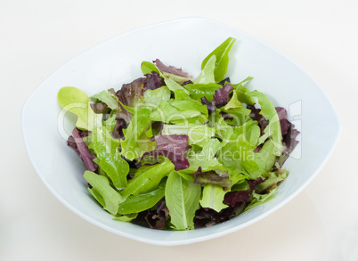 Schüssel mit frischem grünen Salat