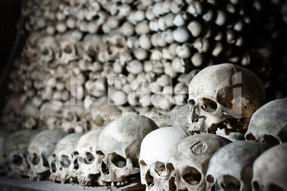Human skulls