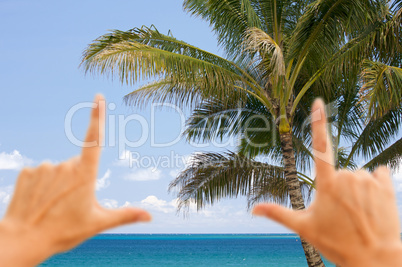 Hands Framing Palm Trees and Tropical Waters