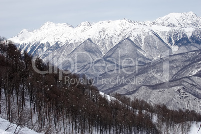 Mountain panorama