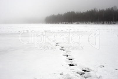 footprints on snow lake