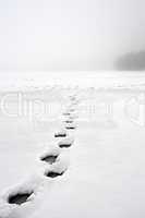 footprints on iced