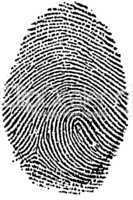 Fingerprint - My