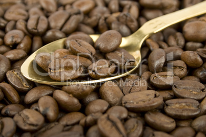 Coffee beans and golden spoon