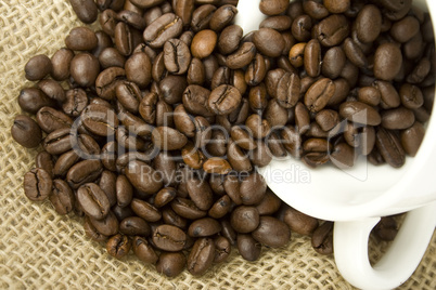 Coffee Beans