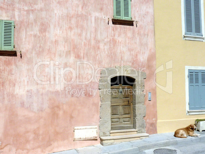 Door and dog in Saint-Tropez, France