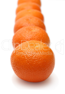 mandarins in row