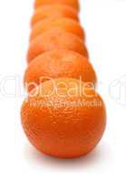 mandarins in row