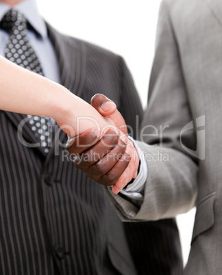 Close-up of a handshake between two businesspeole