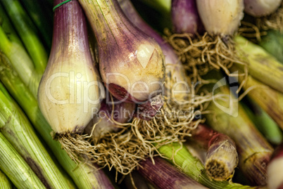 Onions in a Market