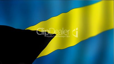 Bahamas - waving flag detail