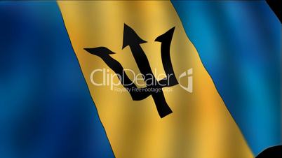 Barbados - waving flag detail