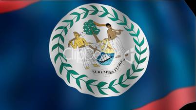 Belize - waving flag detail