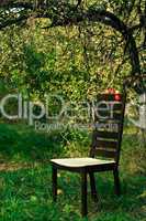 Modern chair in the orchard