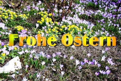 Frohe Ostern im Blumenbeet