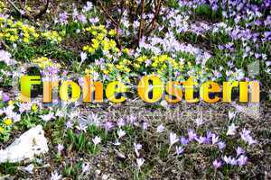 Frohe Ostern im Blumenbeet