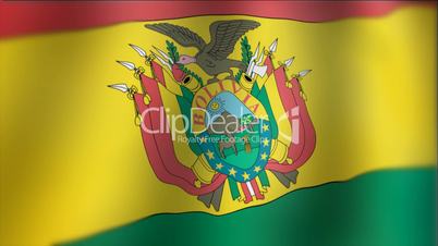 Bolivia - waving flag detail