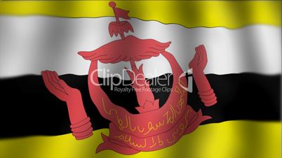 Brunei - waving flag detail