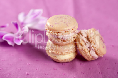 Delicate macarons