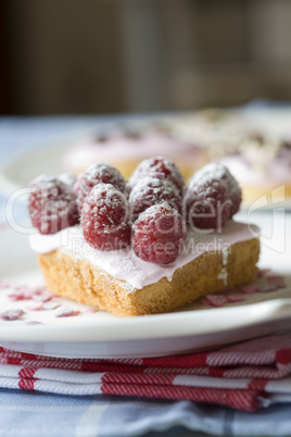 Small cupcakes with raspberries