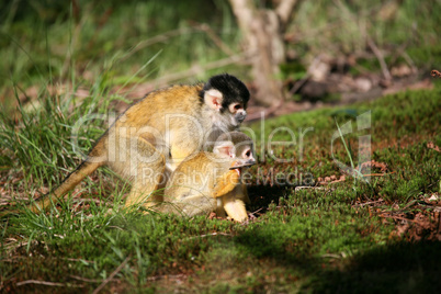 Young with mom