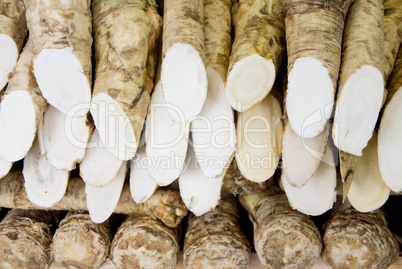 meerrettich horseradish