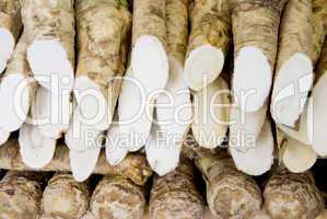 meerrettich horseradish